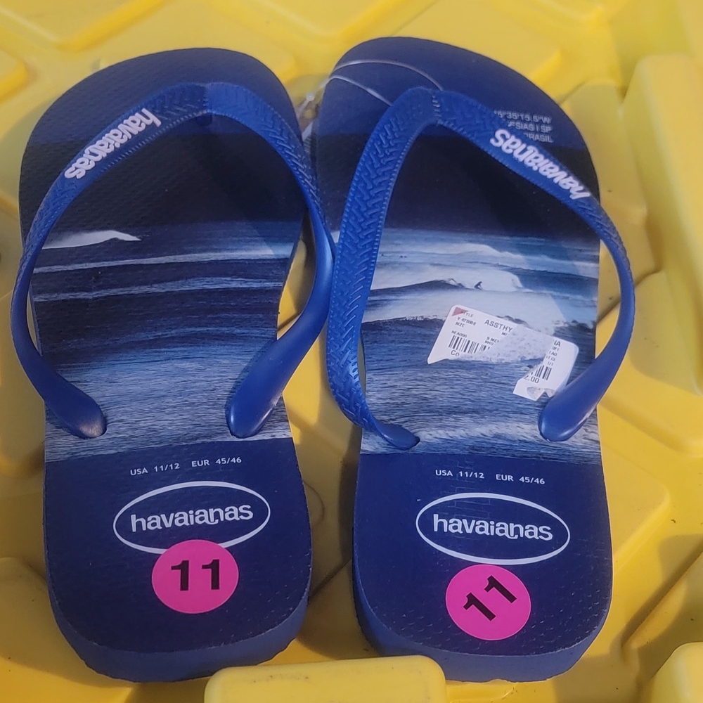 Havaianas Men’s Blue Flip Flops